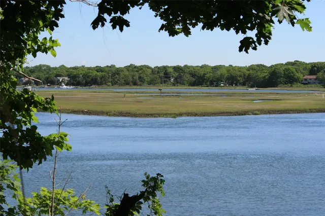 a view of a park with slide
