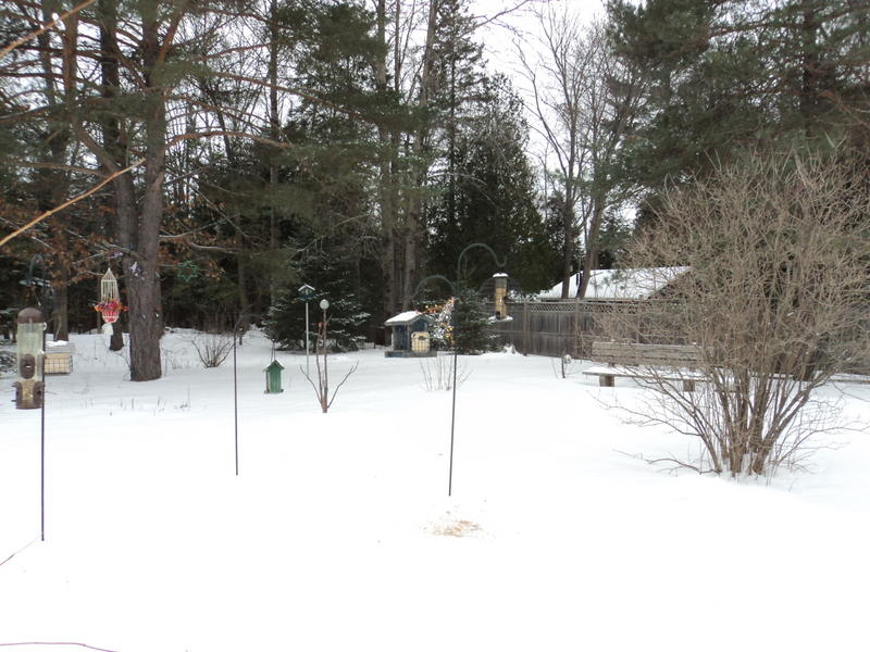 3541 French Road Alpena, MI 49707 - Photo 21 of 25 Gallery Image 21