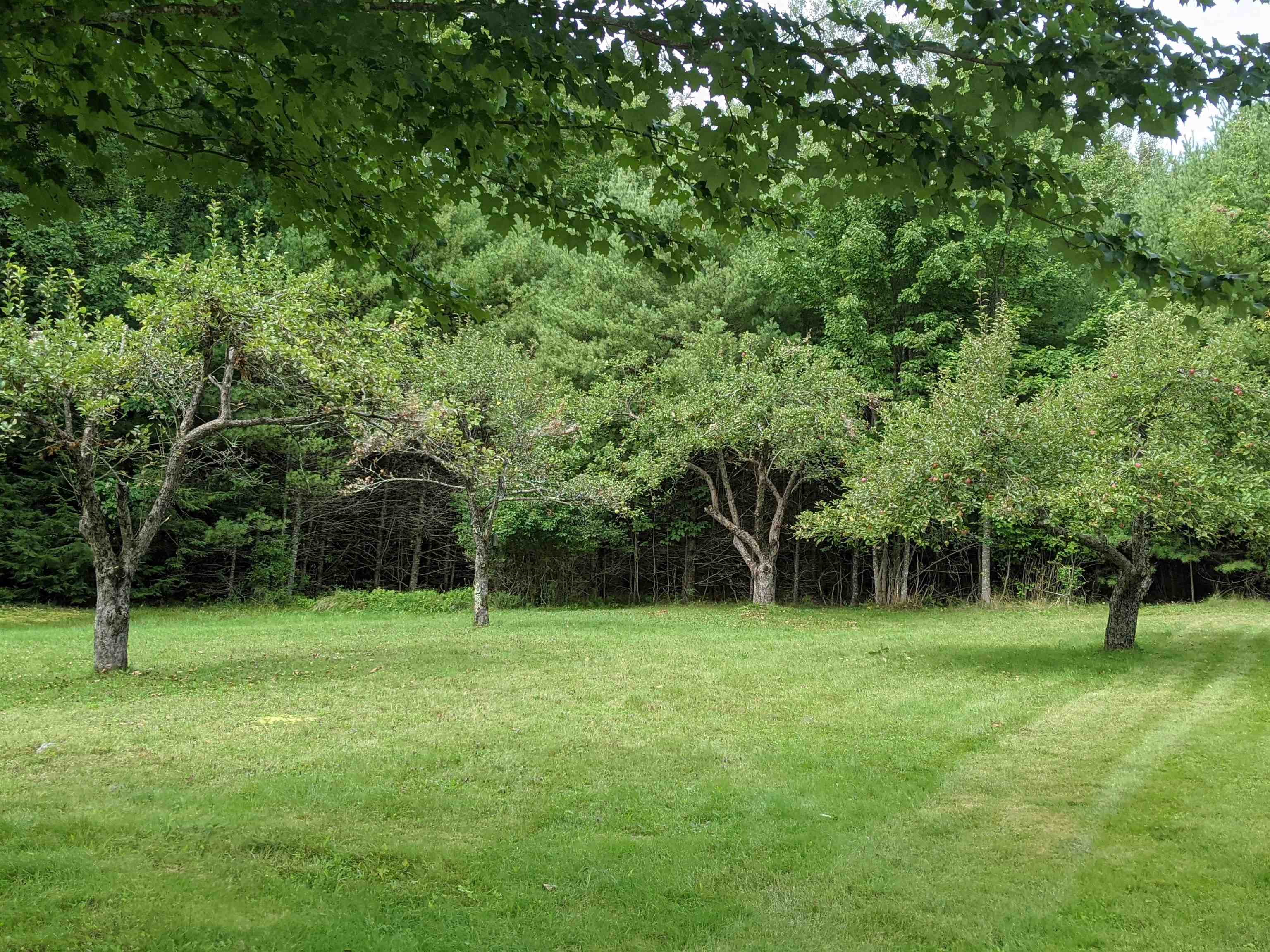 161 Moulton Road Freedom, NH 03836 - Photo 21 of 25