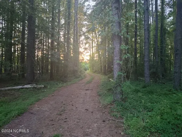 $75,000 | 33 Mixon Creek Drive, Bath, NC 27808