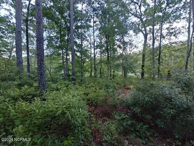 $75,000 | 33 Mixon Creek Drive, Bath, NC 27808