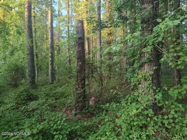 $69,999 | 33 Mixon Creek Drive, Bath, NC 27808