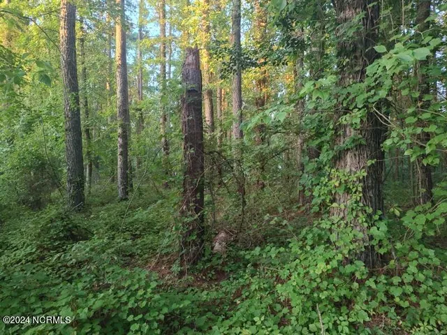 $75,000 | 33 Mixon Creek Drive, Bath, NC 27808