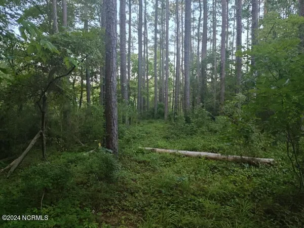 $69,999 | 33 Mixon Creek Drive, Bath, NC 27808