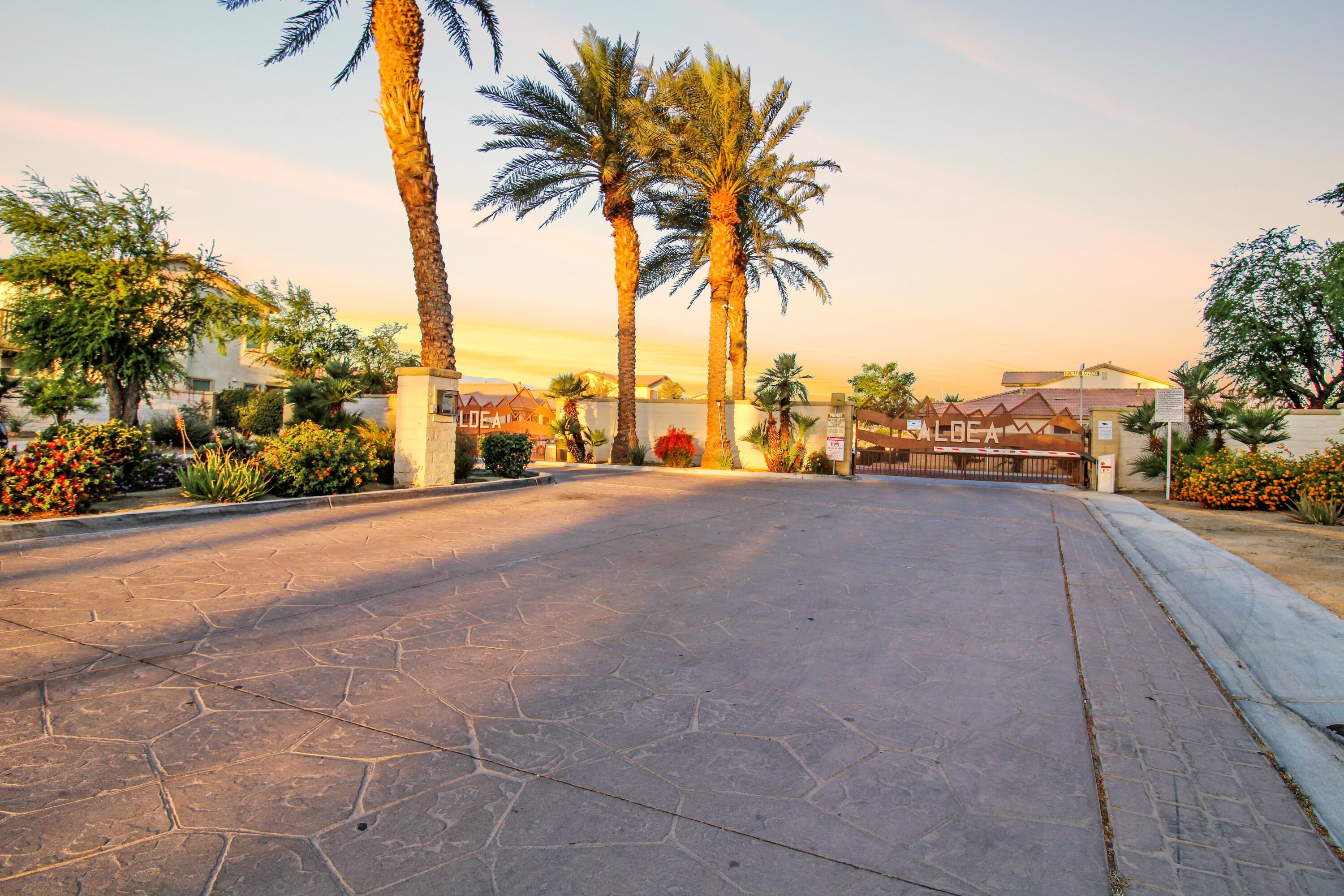 82949 Corte Lucia Indio, CA 92201 - Photo 34 of 36 a view of road and yard with palm trees