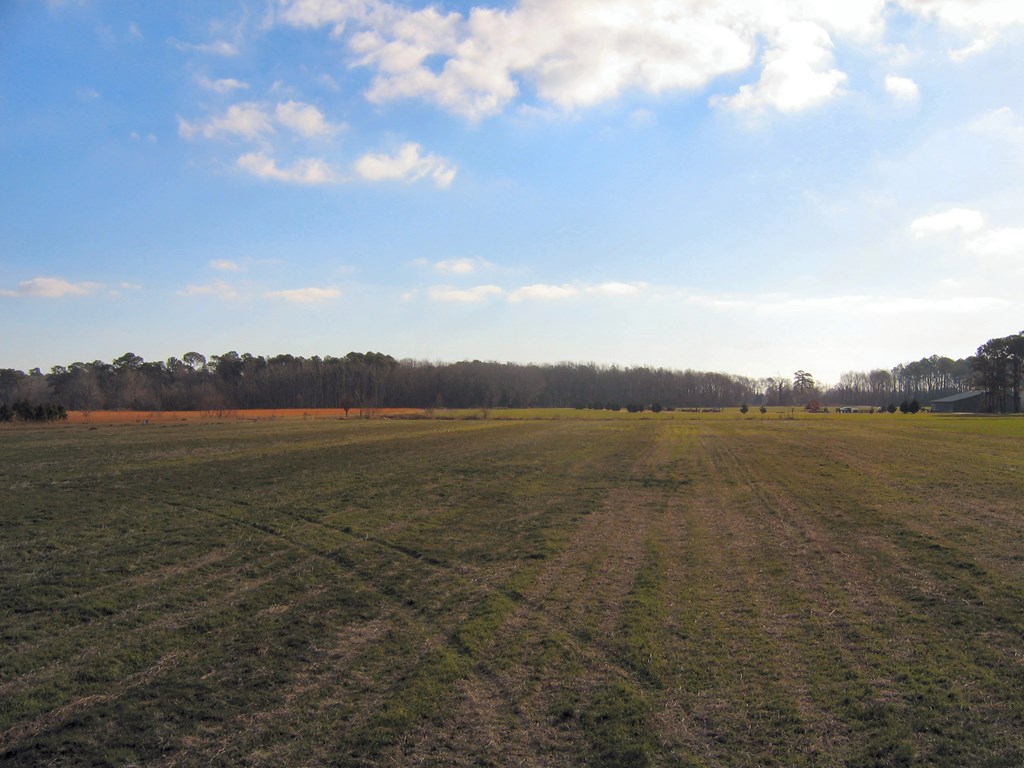 Lot 2 Sunset Way, Unit 2B Machipongo, VA 23405 - Photo 14 of 14