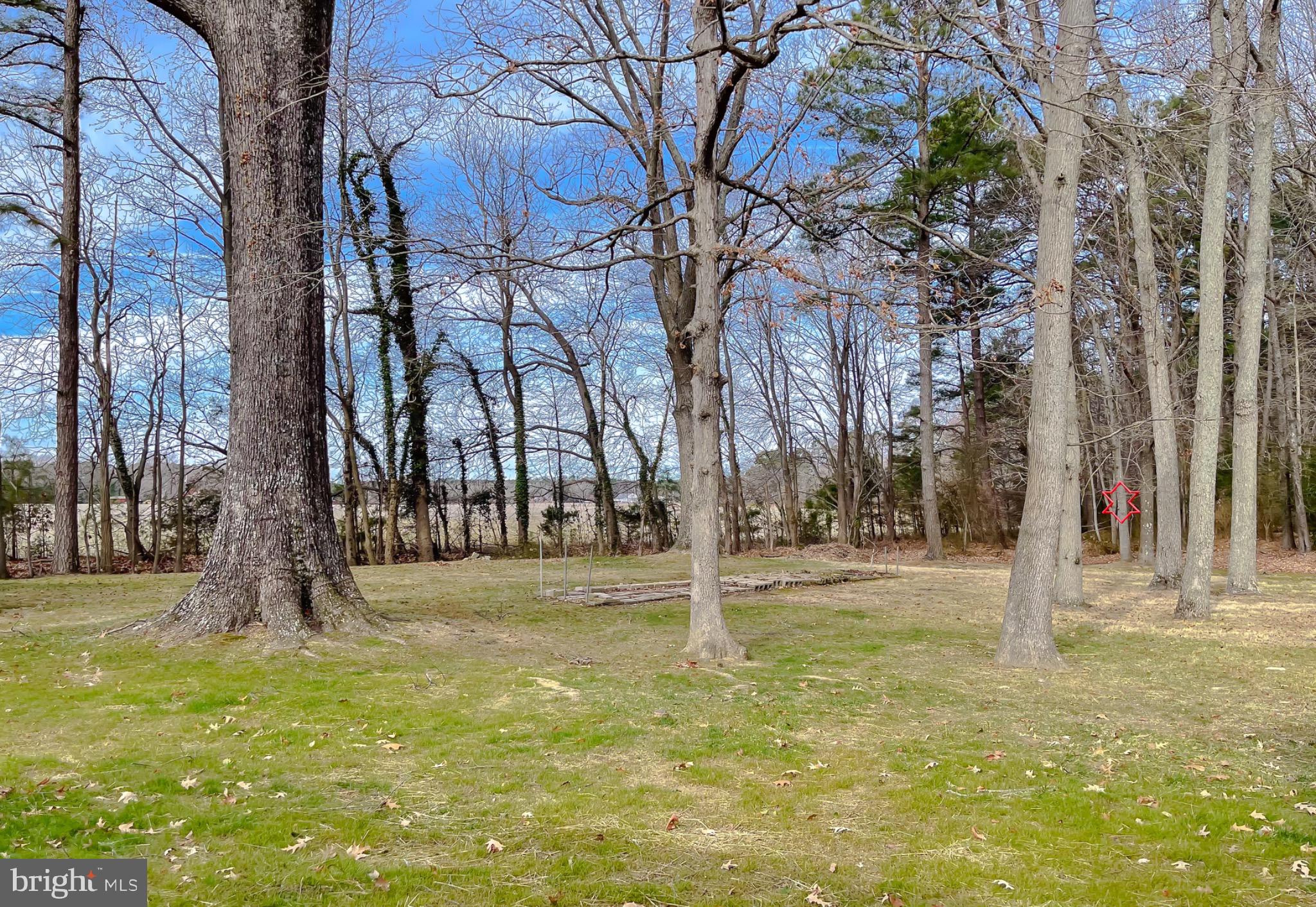 49078 Wynne Road Ridge, MD 20680 - Photo 39 of 57 Home backs up to additional 6.56 included acres.