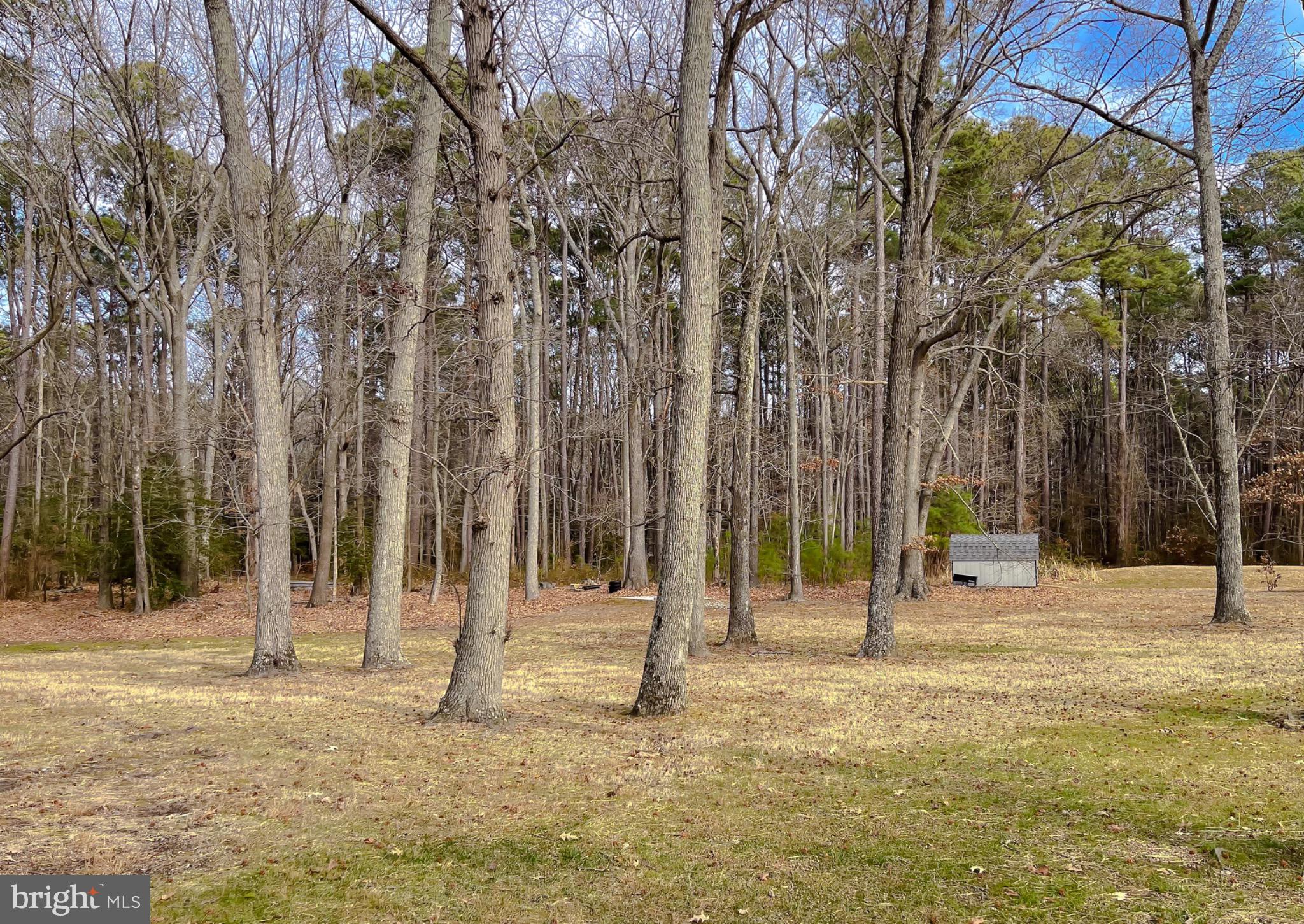 49078 Wynne Road Ridge, MD 20680 - Photo 42 of 57 Home backs up to additional 6.56 included acres