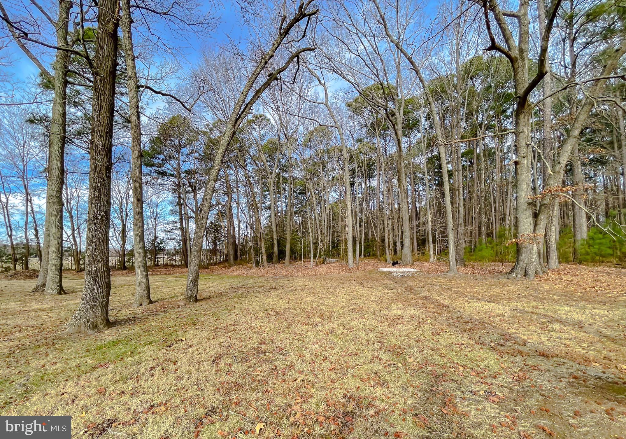 49078 Wynne Road Ridge, MD 20680 - Photo 43 of 57 Home backs up to additional 6.56 included acres