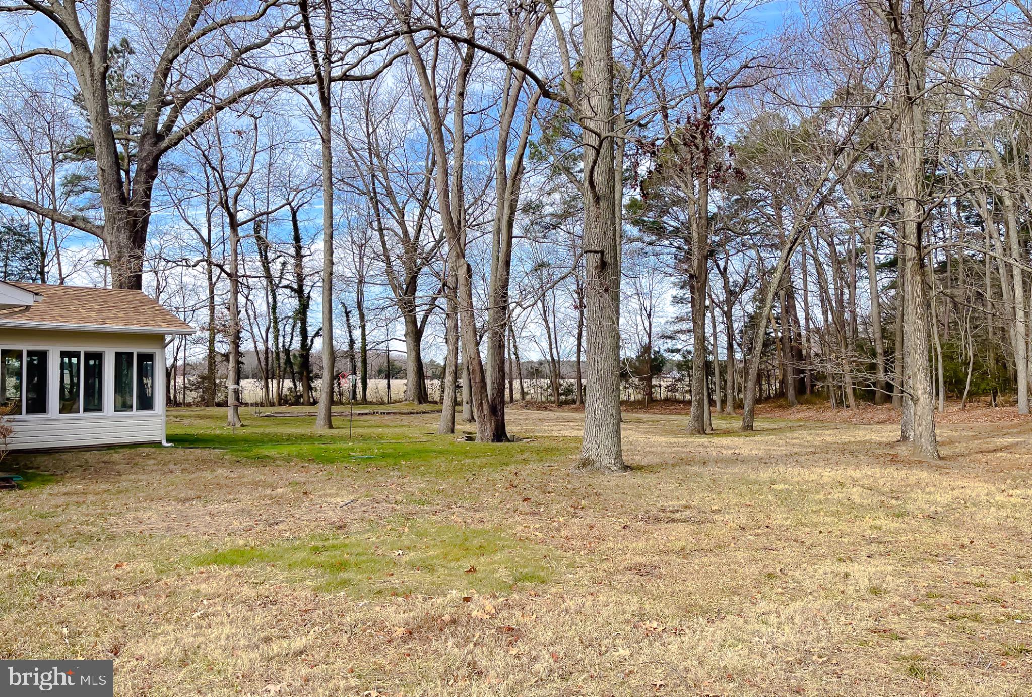 49078 Wynne Road Ridge, MD 20680 - Photo 45 of 57 Backyard