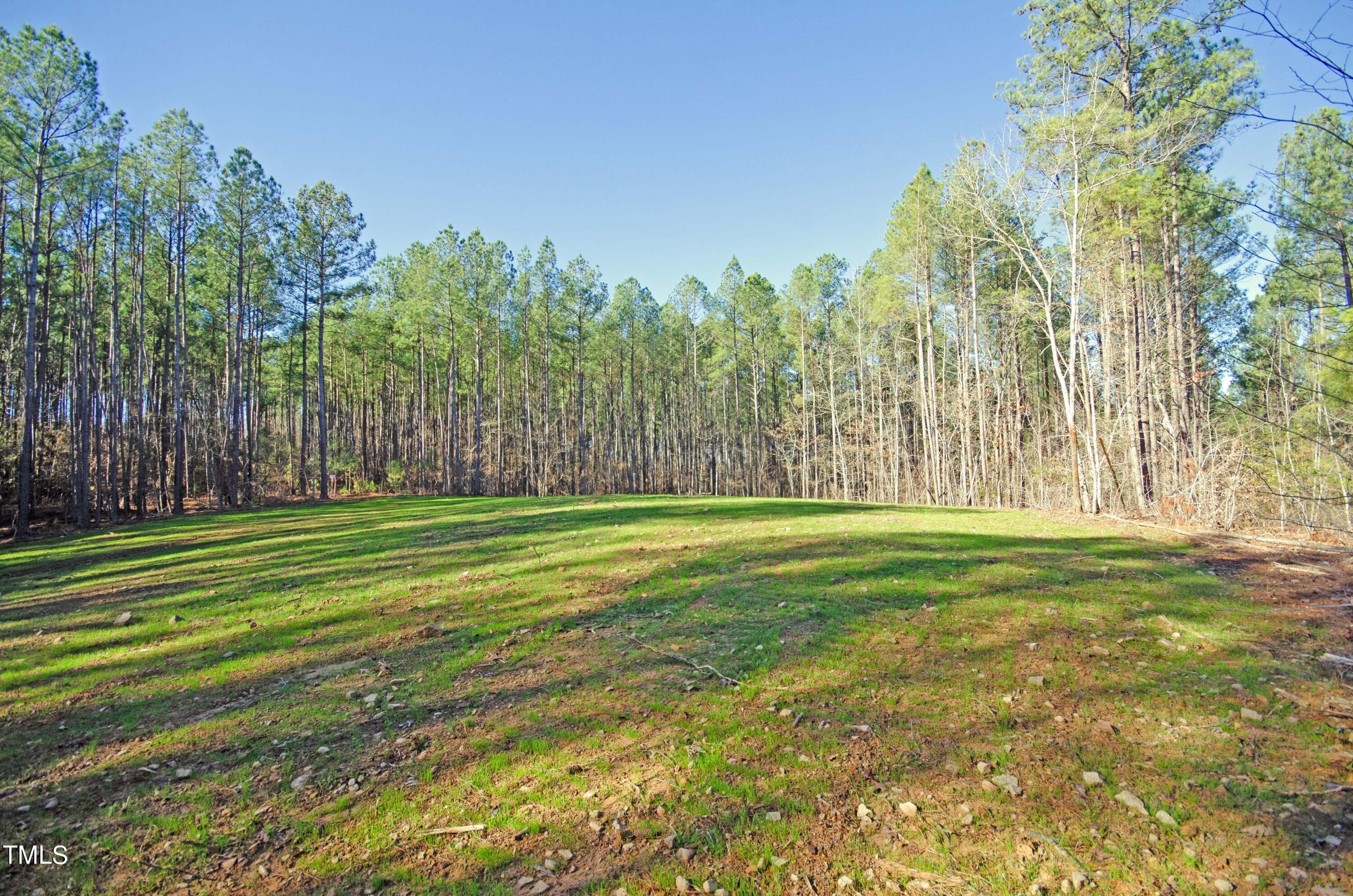 4816 Carbonton Road Sanford, NC 27330 - Photo 10 of 14 Cleared home site.