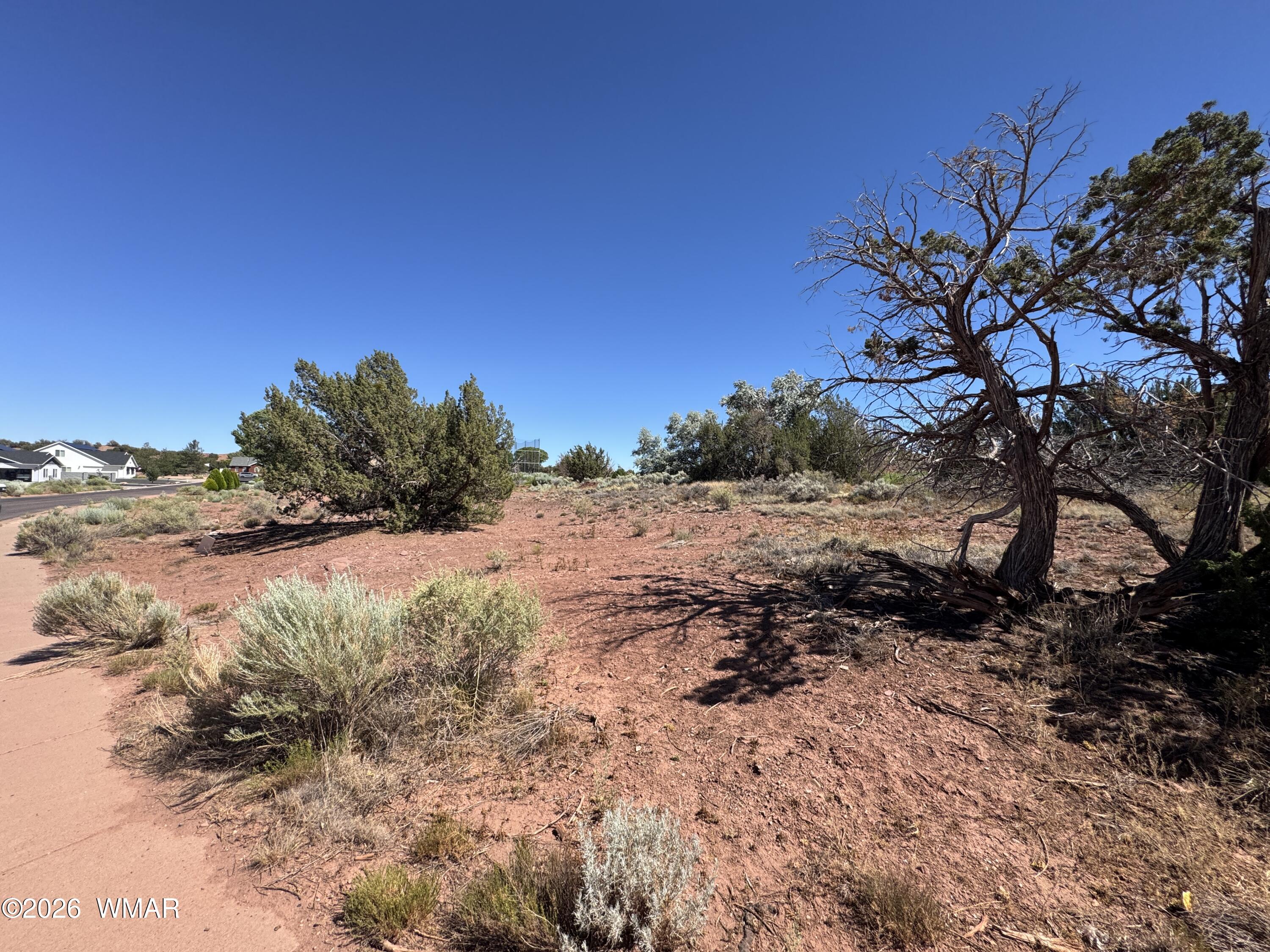 W Sand Trap Lane Snowflake, AZ 85937 - Photo 3 of 11 a view of a yard with a tree