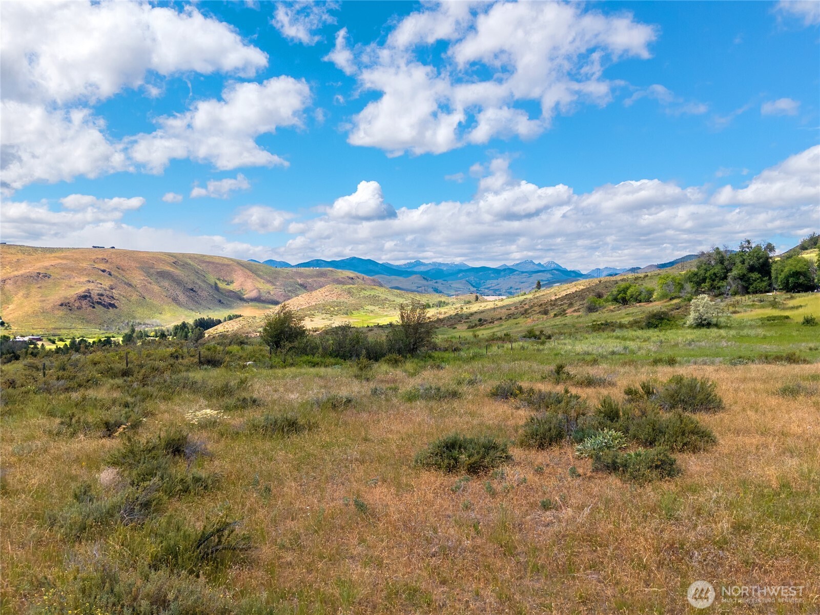 -tbd Bear Creek Road Winthrop, WA 98862 - Photo 8 of 30