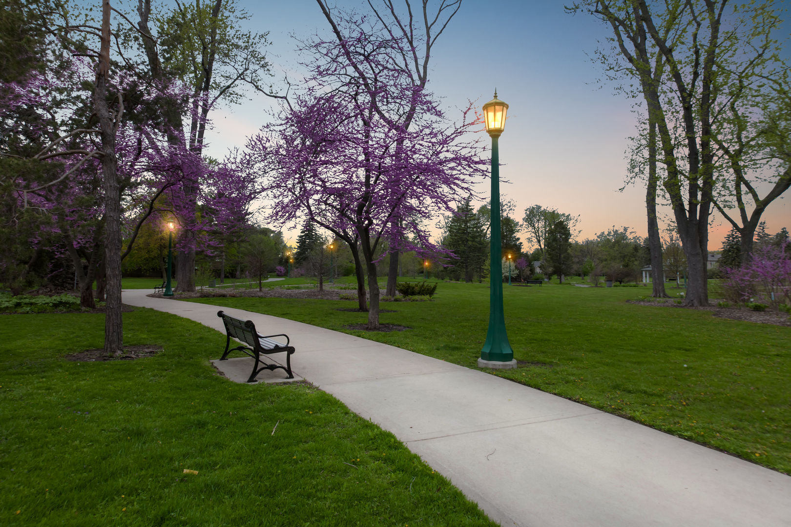 1041 Ridge Road, Unit 304 Wilmette, IL 60091 - Photo 25 of 30 a view of a park with large trees