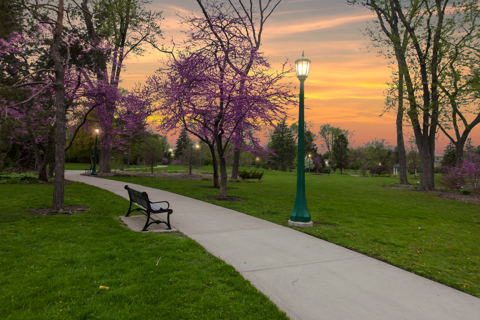 1041 Ridge Road, Unit 304 Wilmette, IL 60091 - Photo 27 of 30 a view of a park with large trees