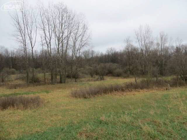 12364 North Genesee Road Clio, MI 48420 - Photo 29 of 34 21136952-28.JPG