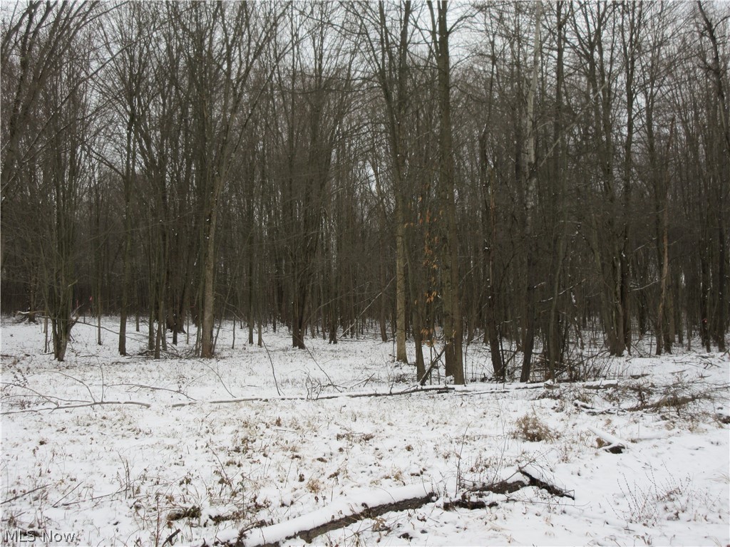 0 Anderson Anthony Road Warren, OH 44481 - Photo 2 of 14 Gallery Image 2
