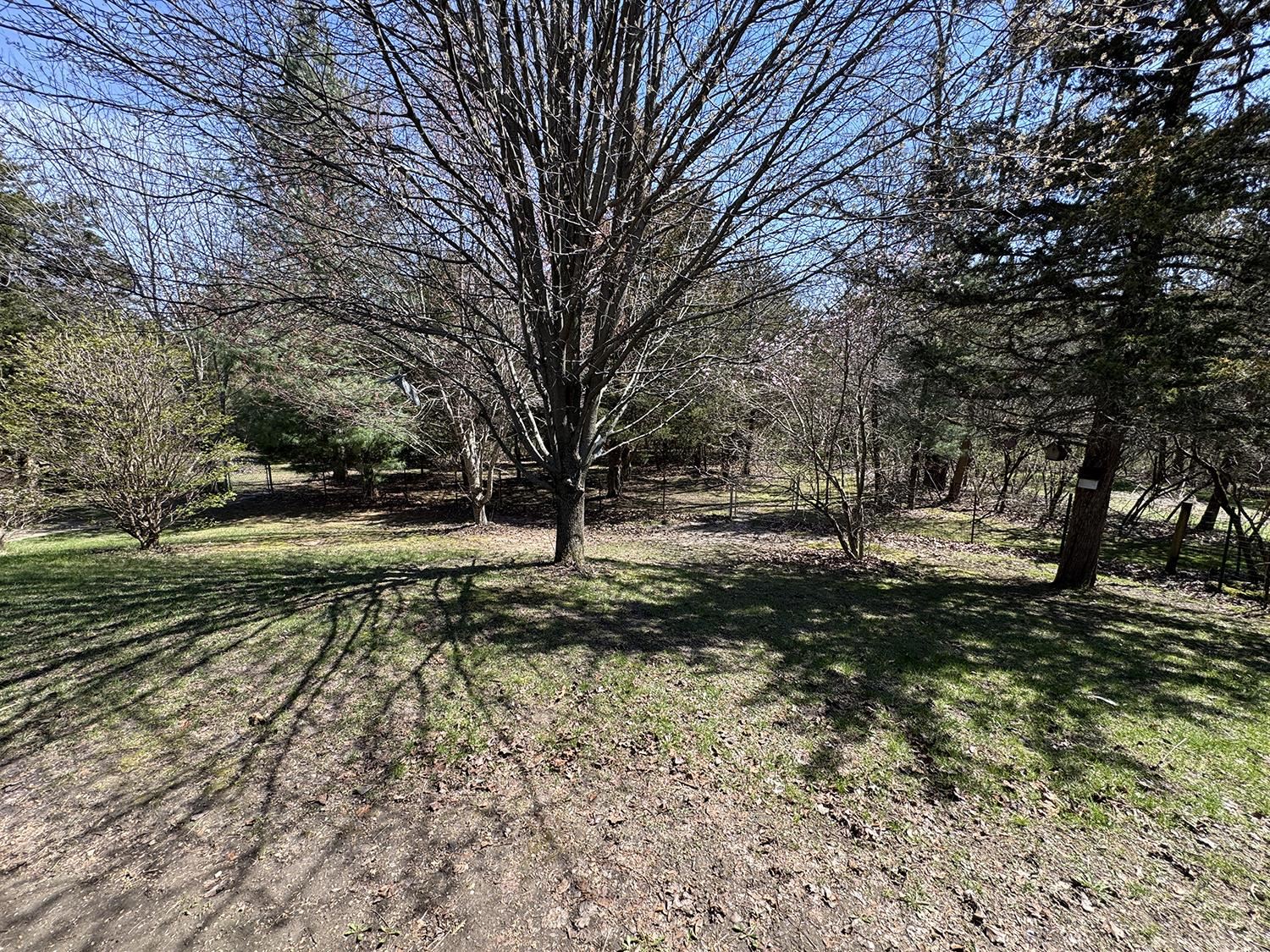 10293 Getz Road Mount Carroll, IL 61053 - Photo 13 of 54