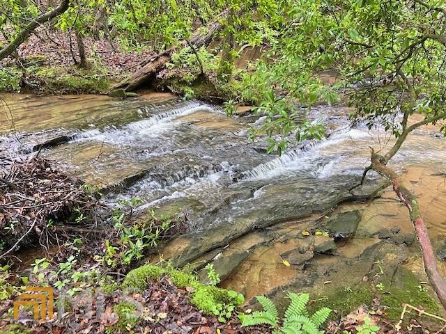 a view of a yard with plants and trees