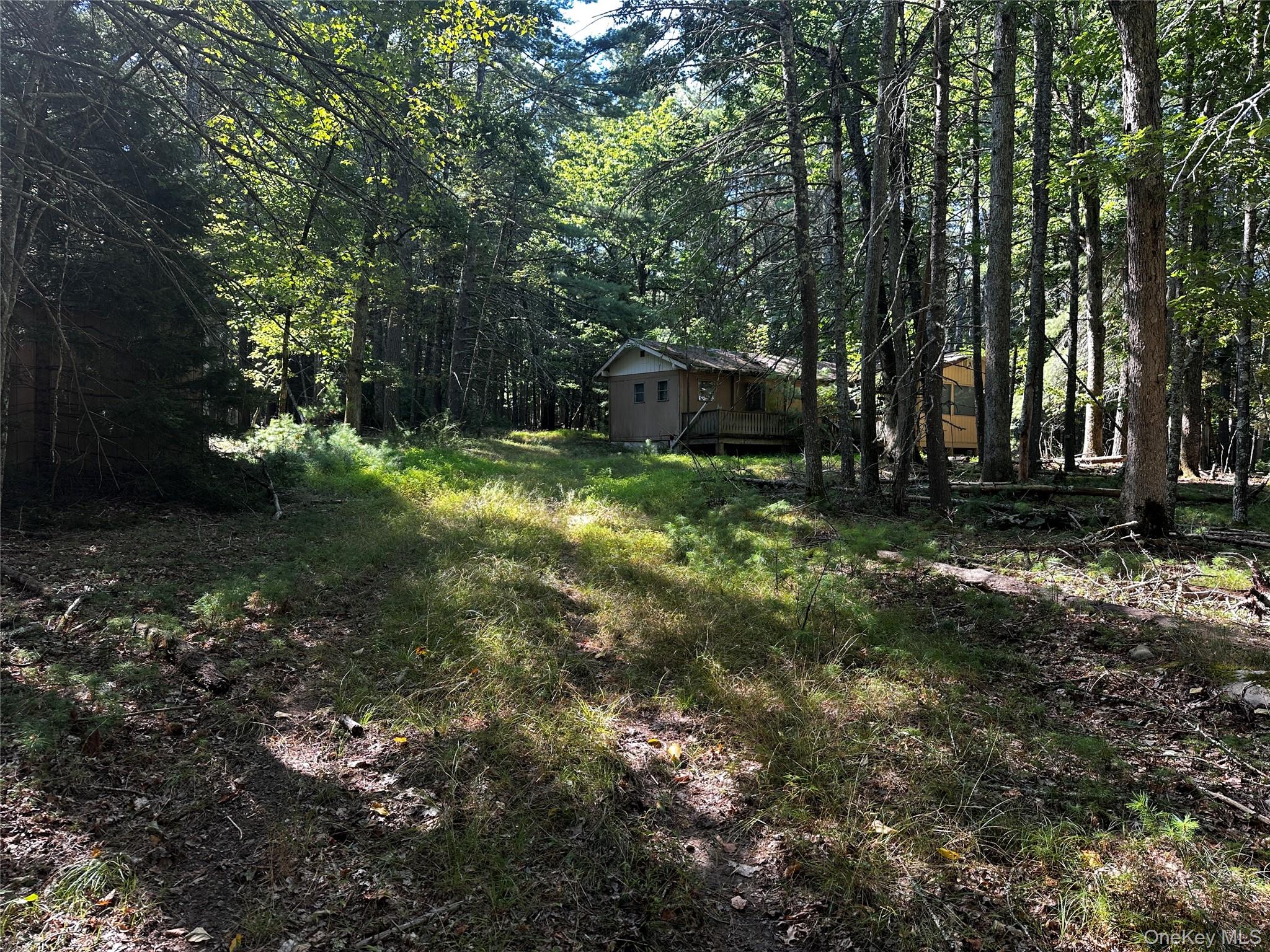 8 Kern Road Barryville, NY 12719 - Photo 1 of 14 a backyard of a house with lots of green space