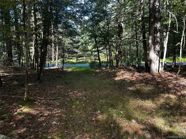 a big yard with lots of green space and trees
