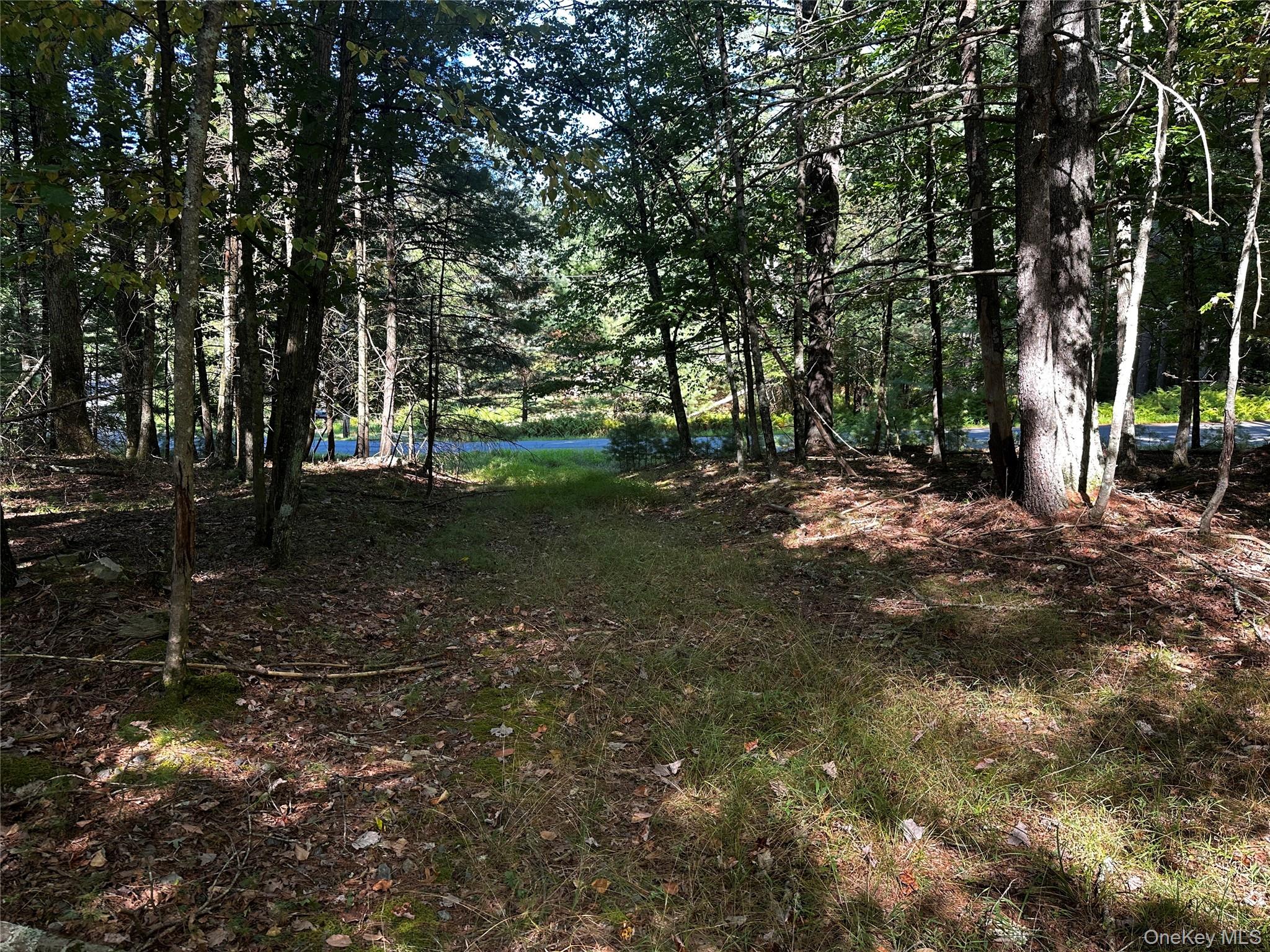 8 Kern Road Barryville, NY 12719 - Photo 11 of 14 a view of a forest with trees