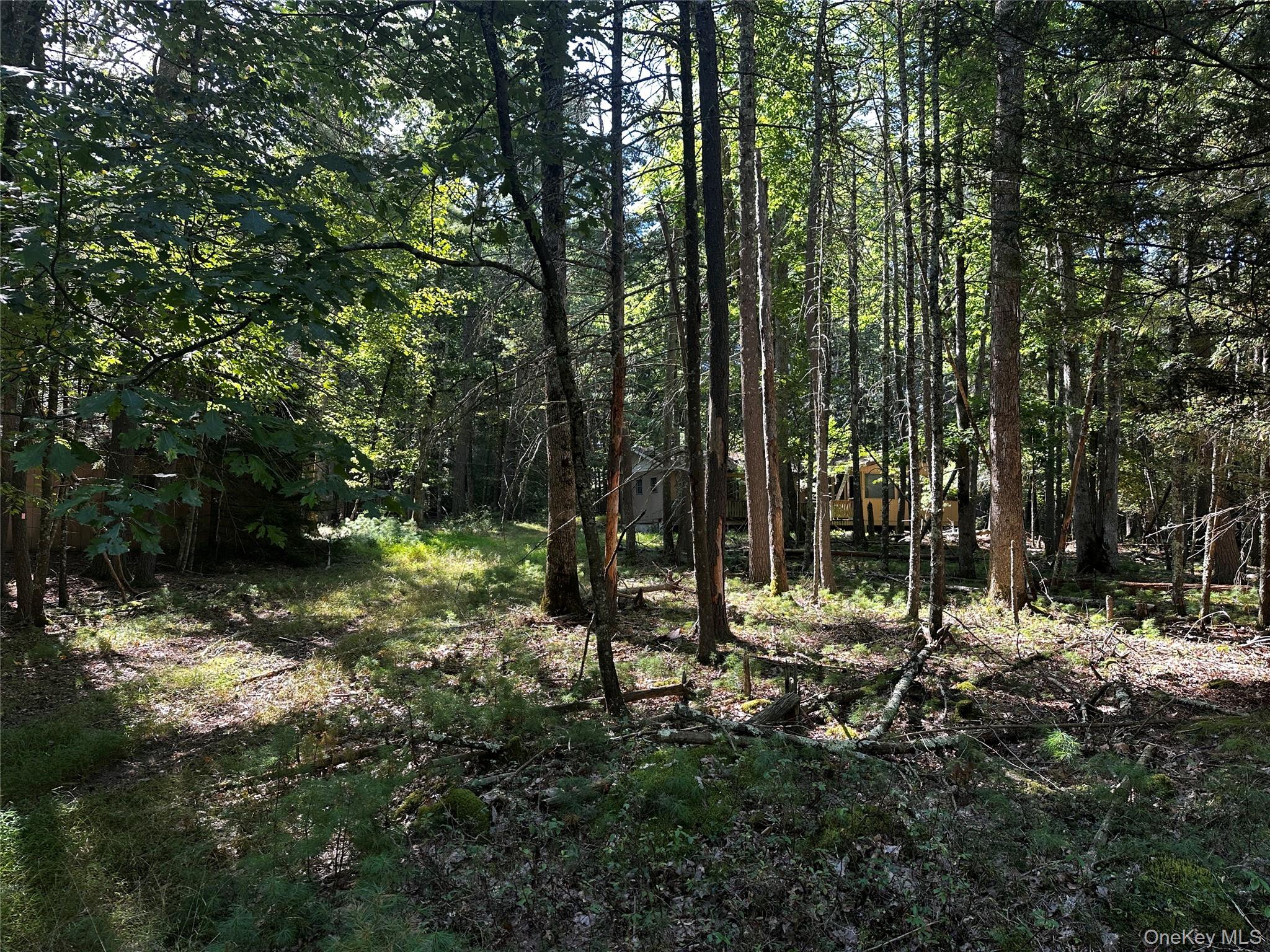 8 Kern Road Barryville, NY 12719 - Photo 12 of 14 a big yard with lots of green space and trees