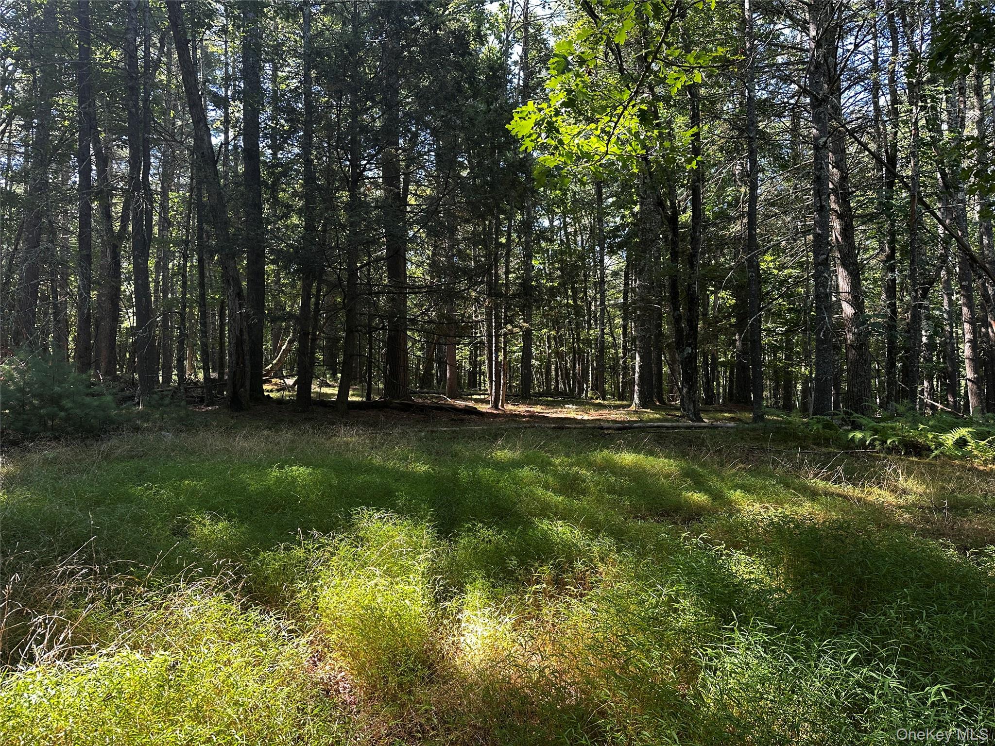 8 Kern Road Barryville, NY 12719 - Photo 2 of 14 a view of park