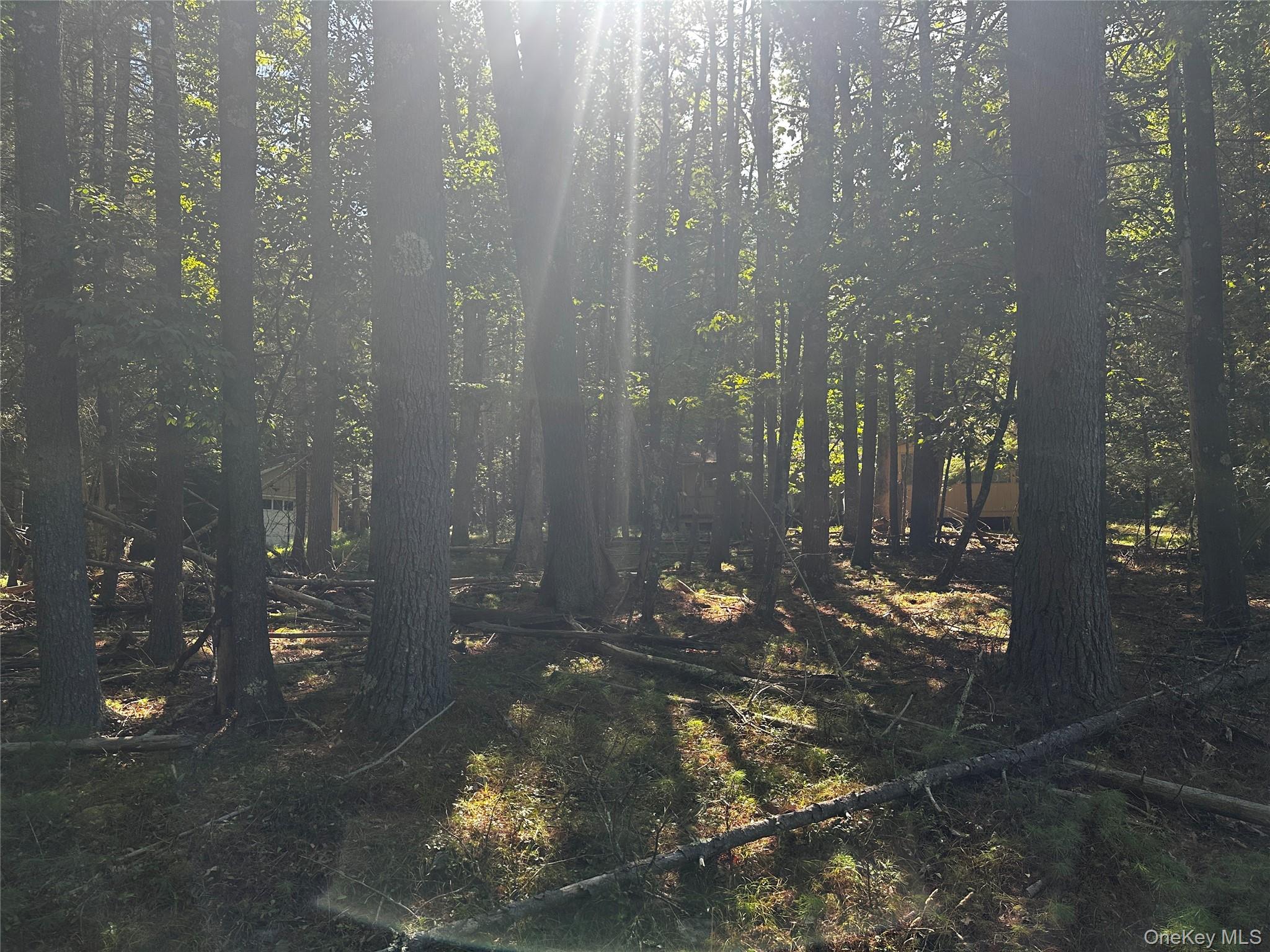 8 Kern Road Barryville, NY 12719 - Photo 3 of 14