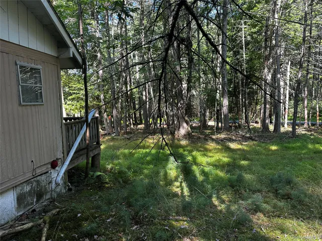 a backyard of a house with lots of green space