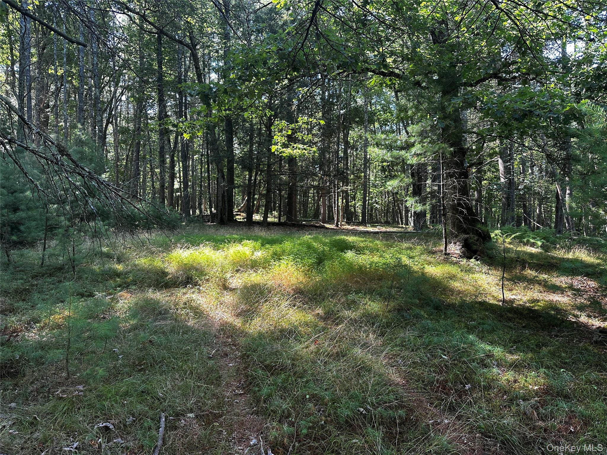 8 Kern Road Barryville, NY 12719 - Photo 10 of 14 a view of a trees with a yard