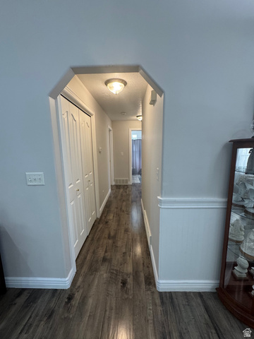 1976 River Bottom Road Springville, UT 84663 - Photo 18 of 45 Hallway featuring wood-finish flooring, light gray wall paint, white baseboards, and a decorative archway