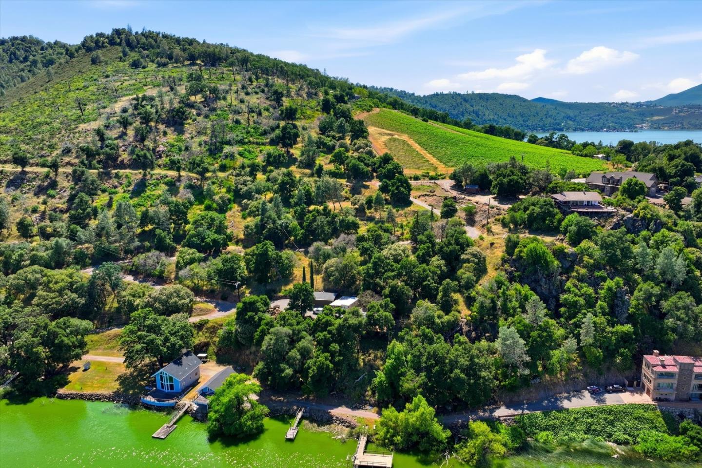 5156 Lake Road Lower Lake, CA 95457 - Photo 6 of 27 a view of a lush green field with lots of plants in the background