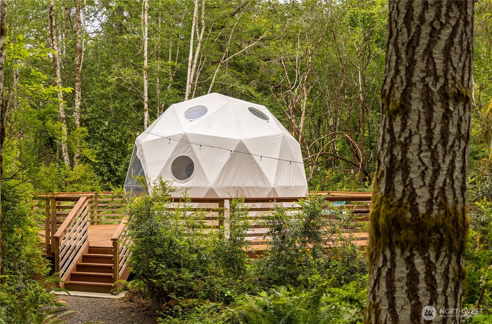 430 Twilight Way Grapeview, WA 98546 - Photo 17 of 22 a aerial view of a house with a yard and tree s