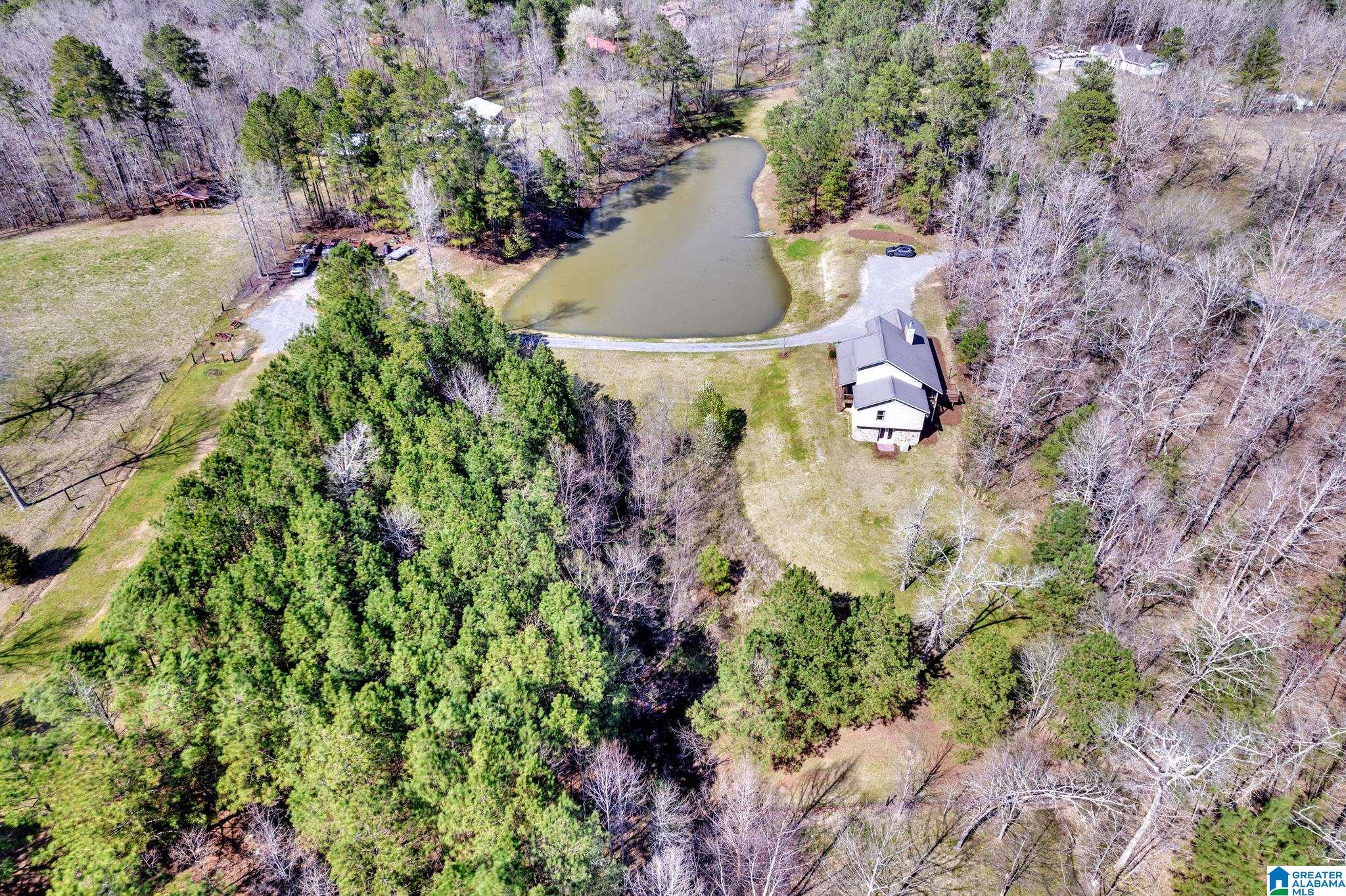 175 Skyview Trail Trafford, AL 35172 - Photo 46 of 50