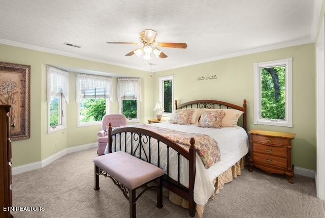 270 Lone Ridge Lane Clinton, TN 37716 - Photo 29 of 58 photo 40