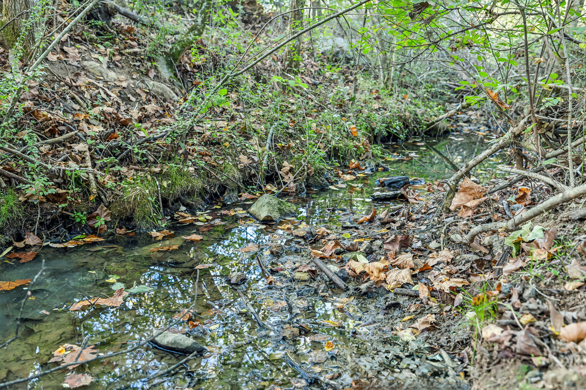 0 Tate Road Fayetteville, TN 37334 - Photo 16 of 39 40-web-or-mls-Tate Rd V2 - 12