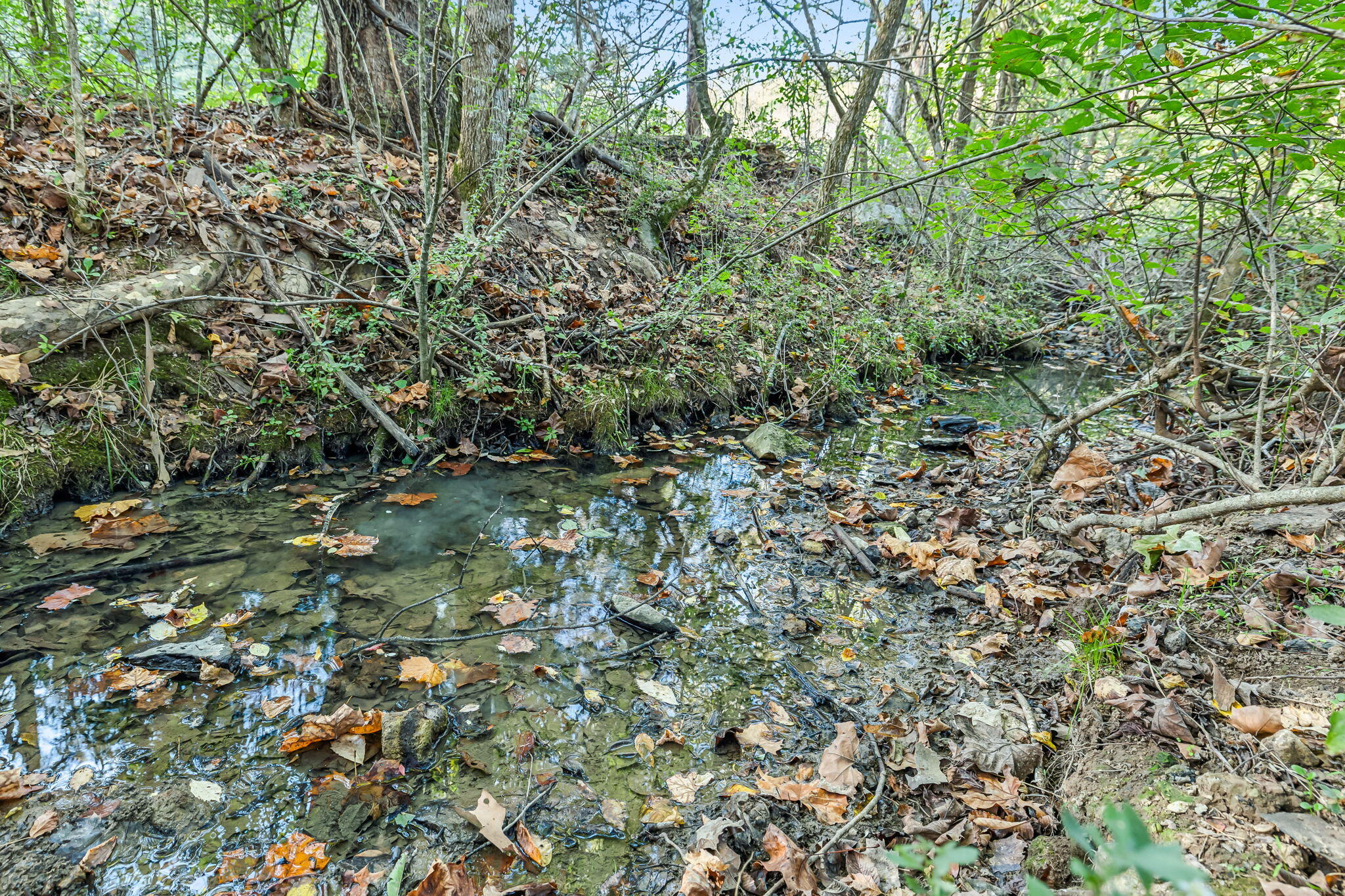 0 Tate Road Fayetteville, TN 37334 - Photo 17 of 39 39-web-or-mls-Tate Rd V2 - 11