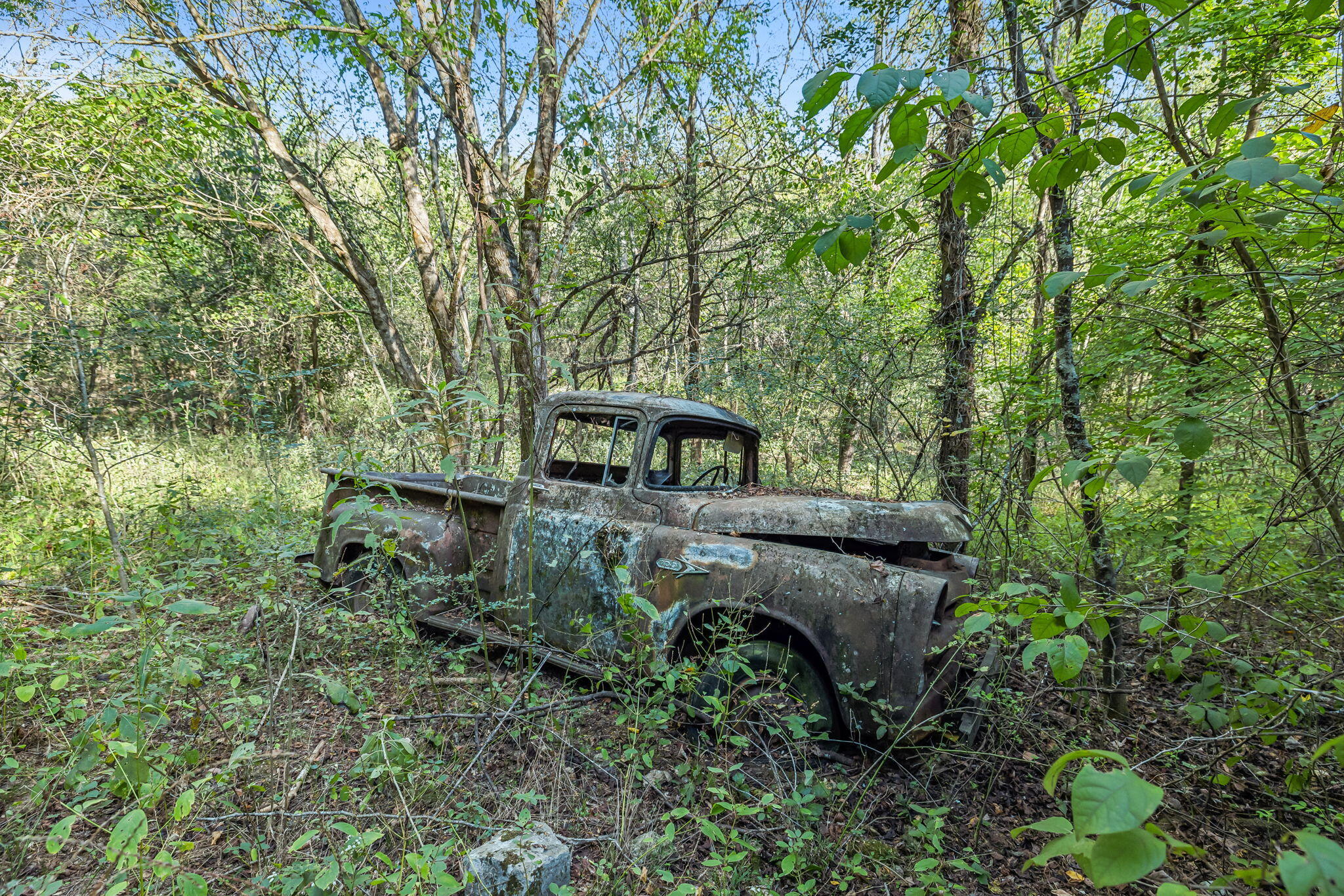 0 Tate Road Fayetteville, TN 37334 - Photo 18 of 39 36-web-or-mls-Tate Rd V2 - 8