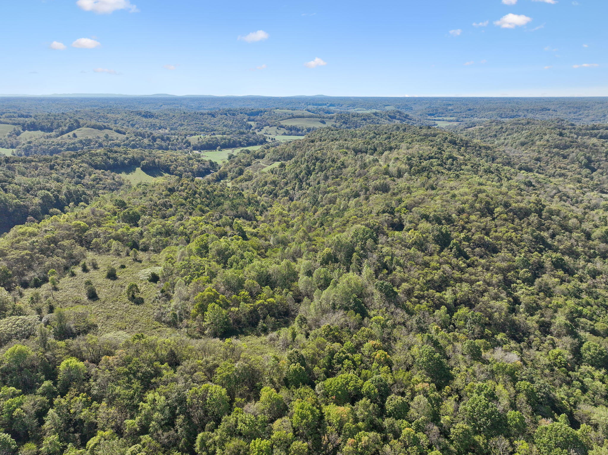 0 Tate Road Fayetteville, TN 37334 - Photo 22 of 39 13-web-or-mls-0 Tate Rd Fayetteville TN