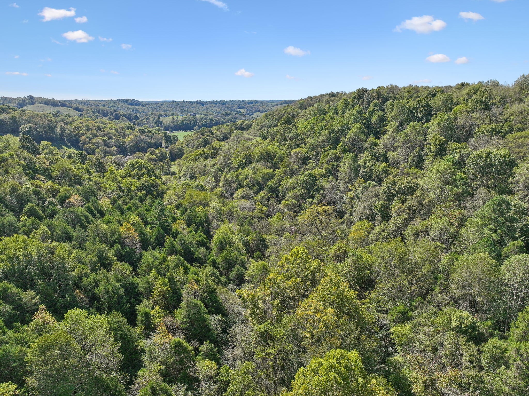 0 Tate Road Fayetteville, TN 37334 - Photo 26 of 39 17-web-or-mls-0 Tate Rd Fayetteville TN