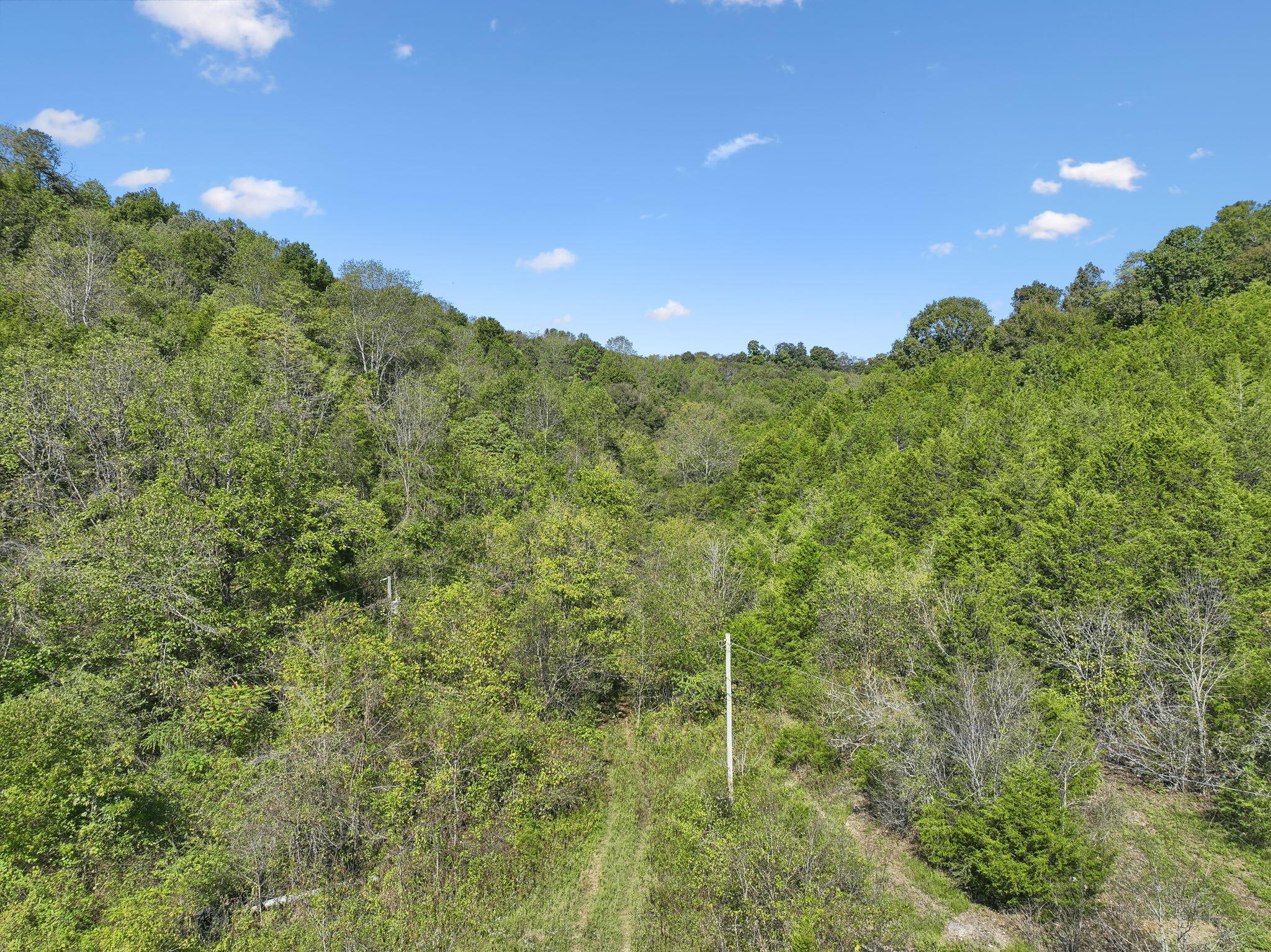 0 Tate Road Fayetteville, TN 37334 - Photo 30 of 39 24-web-or-mls-0 Tate Rd Fayetteville TN