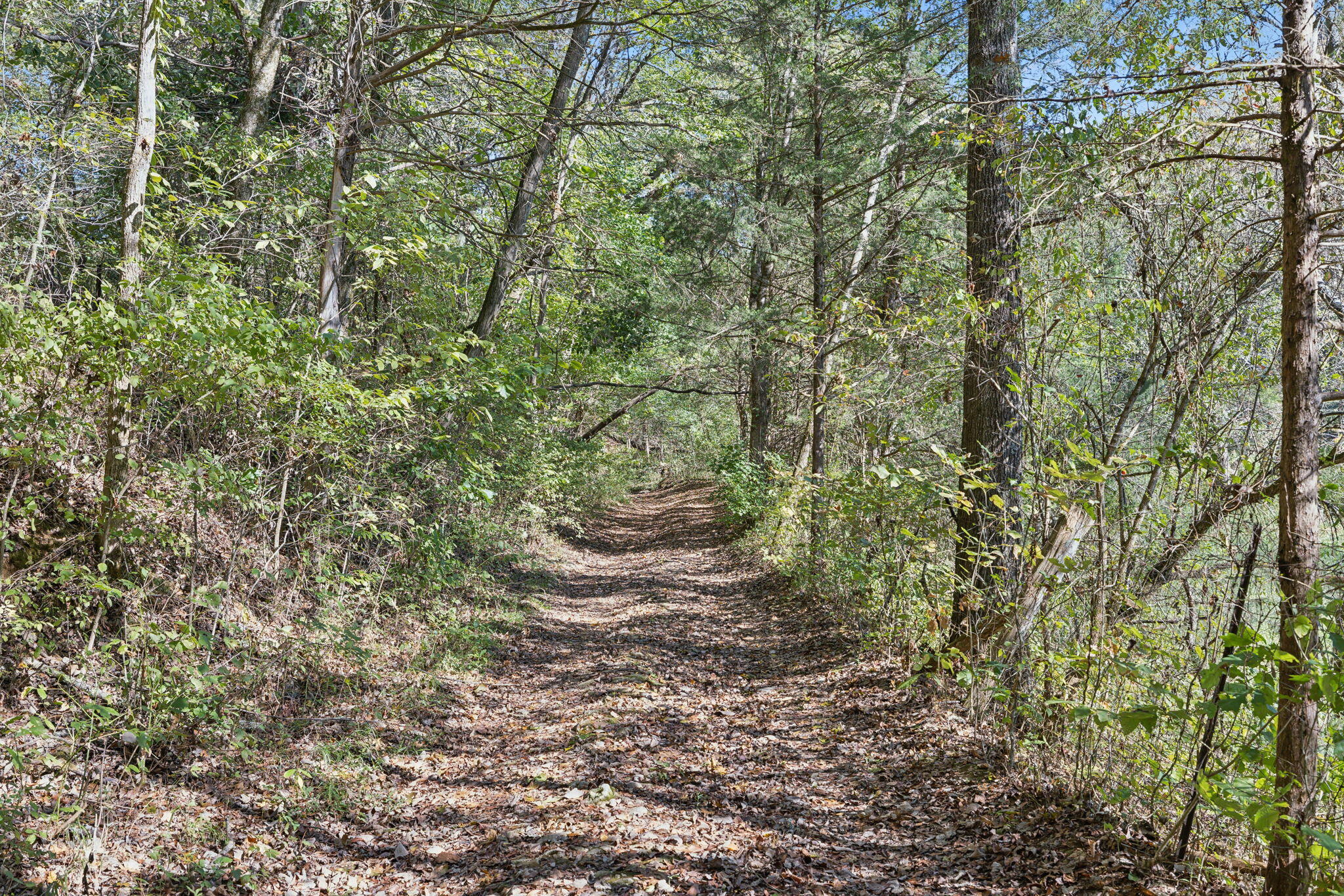 0 Tate Road Fayetteville, TN 37334 - Photo 3 of 39 4-web-or-mls-0 Tate Rd Fayetteville TN -