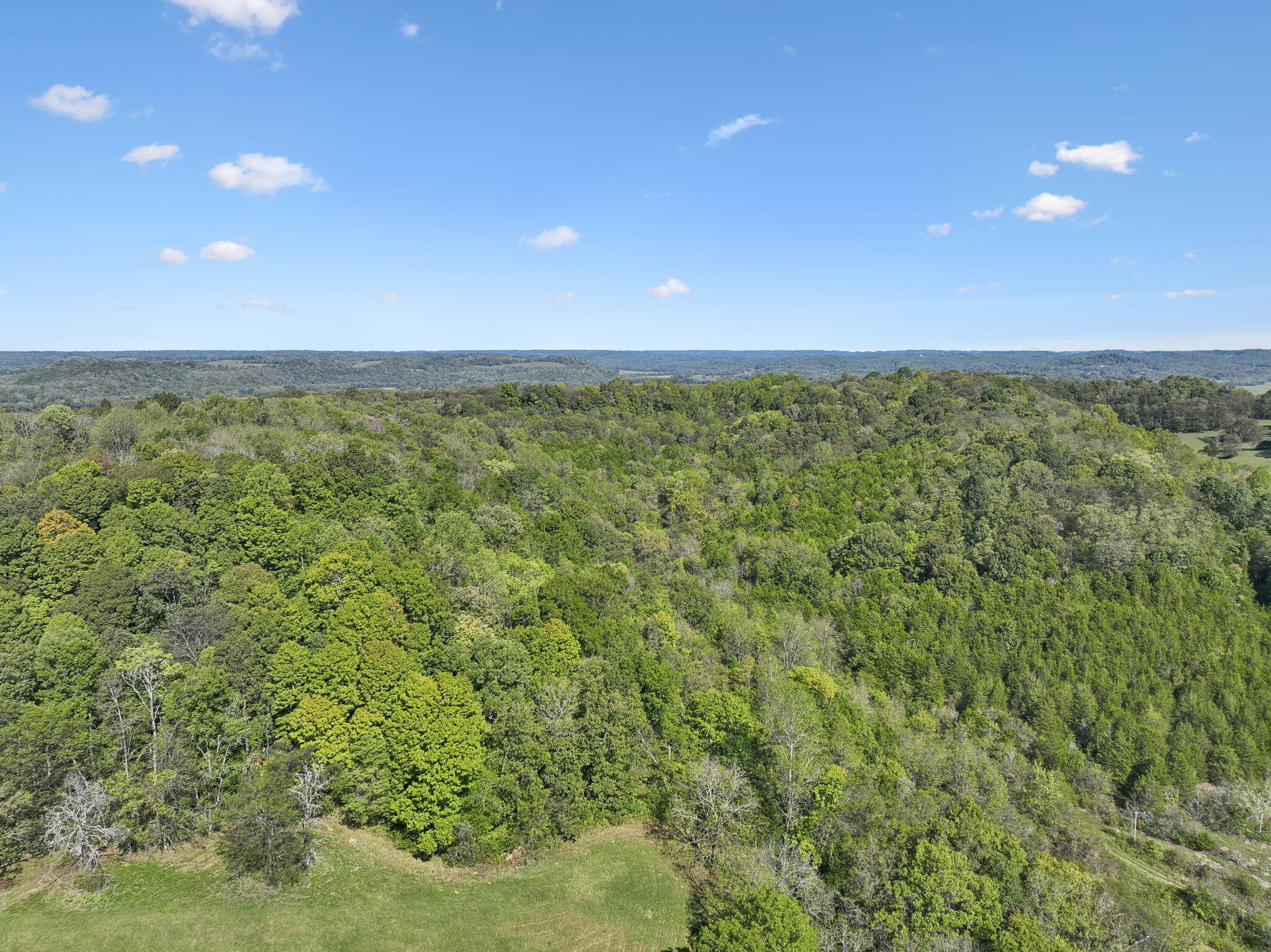 0 Tate Road Fayetteville, TN 37334 - Photo 32 of 39 26-web-or-mls-0 Tate Rd Fayetteville TN