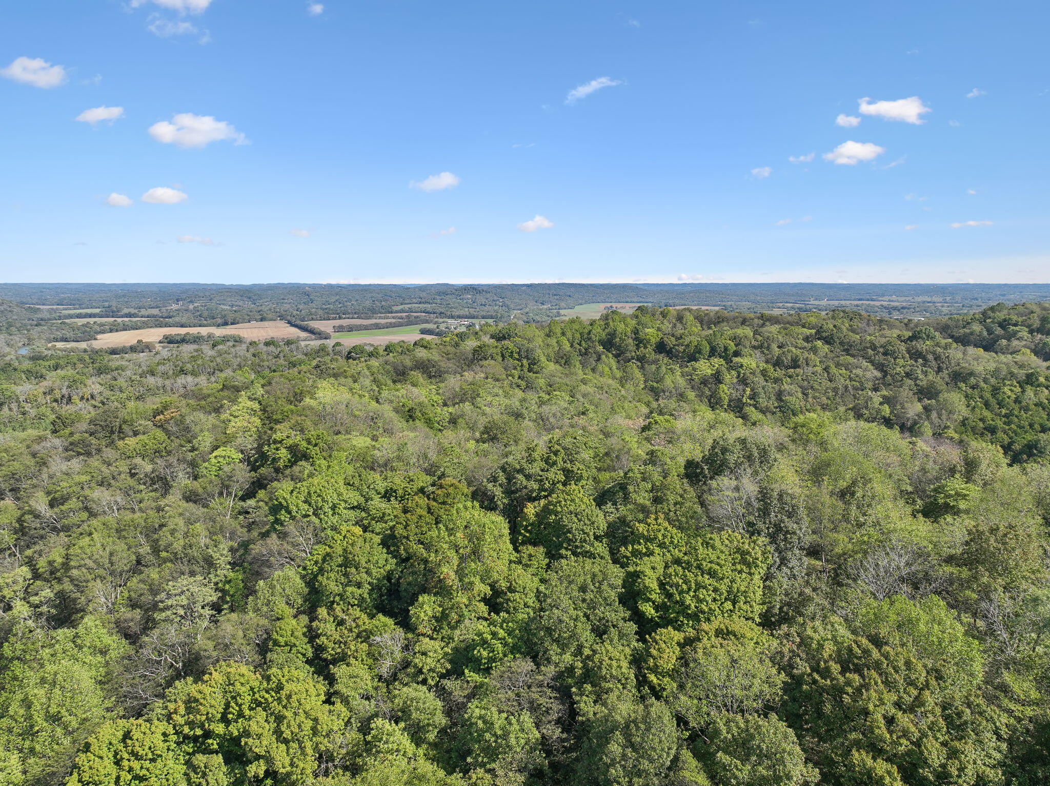 0 Tate Road Fayetteville, TN 37334 - Photo 34 of 39 28-web-or-mls-0 Tate Rd Fayetteville TN