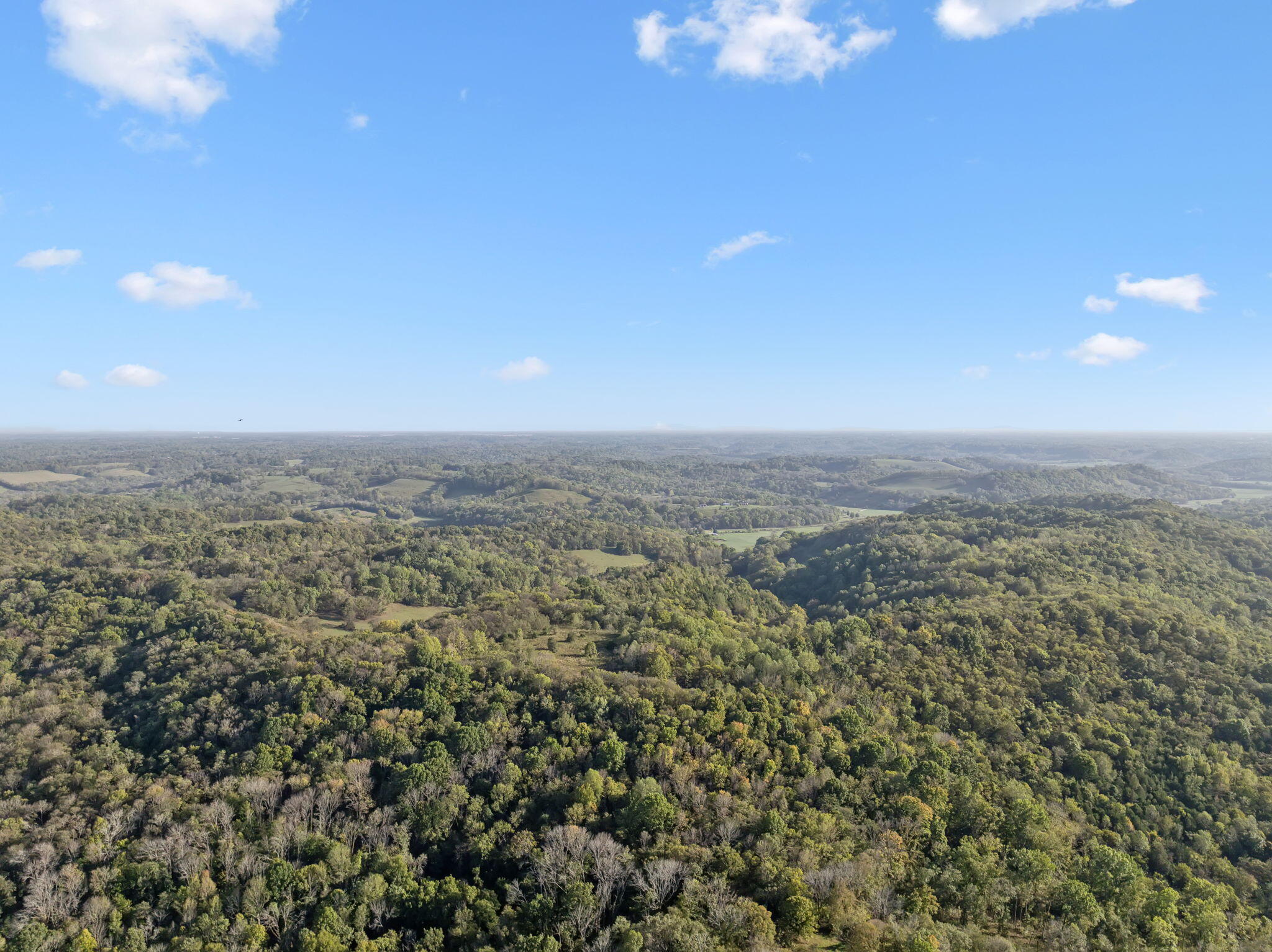 0 Tate Road Fayetteville, TN 37334 - Photo 39 of 39 46-web-or-mls-Tate Rd - V2 - 16