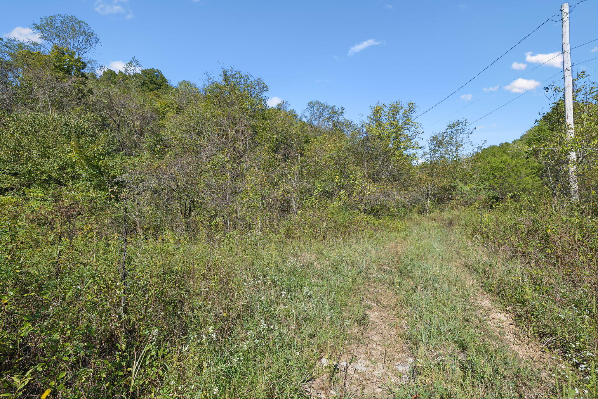 0 Tate Road Fayetteville, TN 37334 - Photo 4 of 39 5-web-or-mls-0 Tate Rd Fayetteville TN -