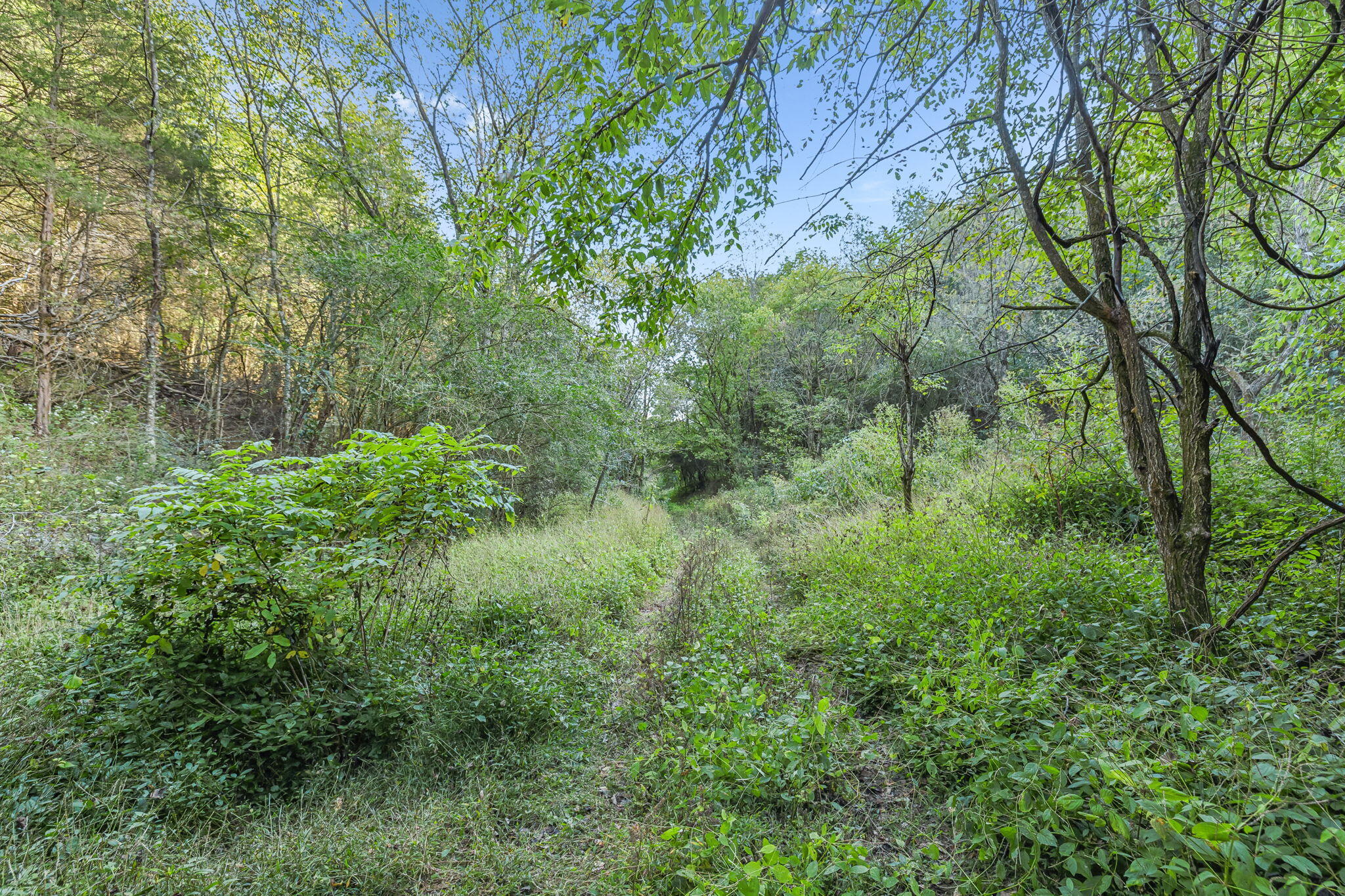 0 Tate Road Fayetteville, TN 37334 - Photo 5 of 39 34-web-or-mls-Tate Rd V2 - 6