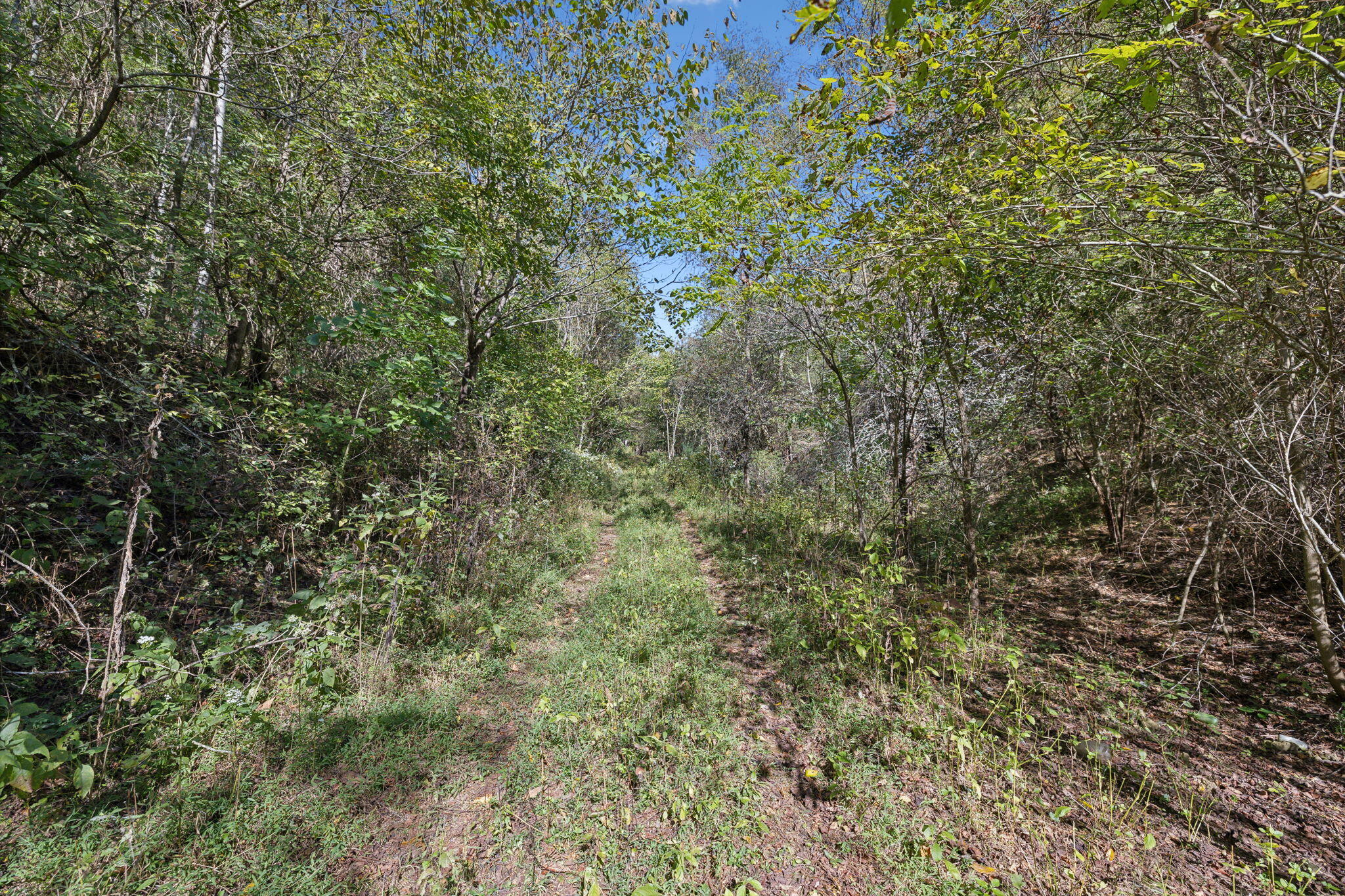 0 Tate Road Fayetteville, TN 37334 - Photo 6 of 39 6-web-or-mls-0 Tate Rd Fayetteville TN -