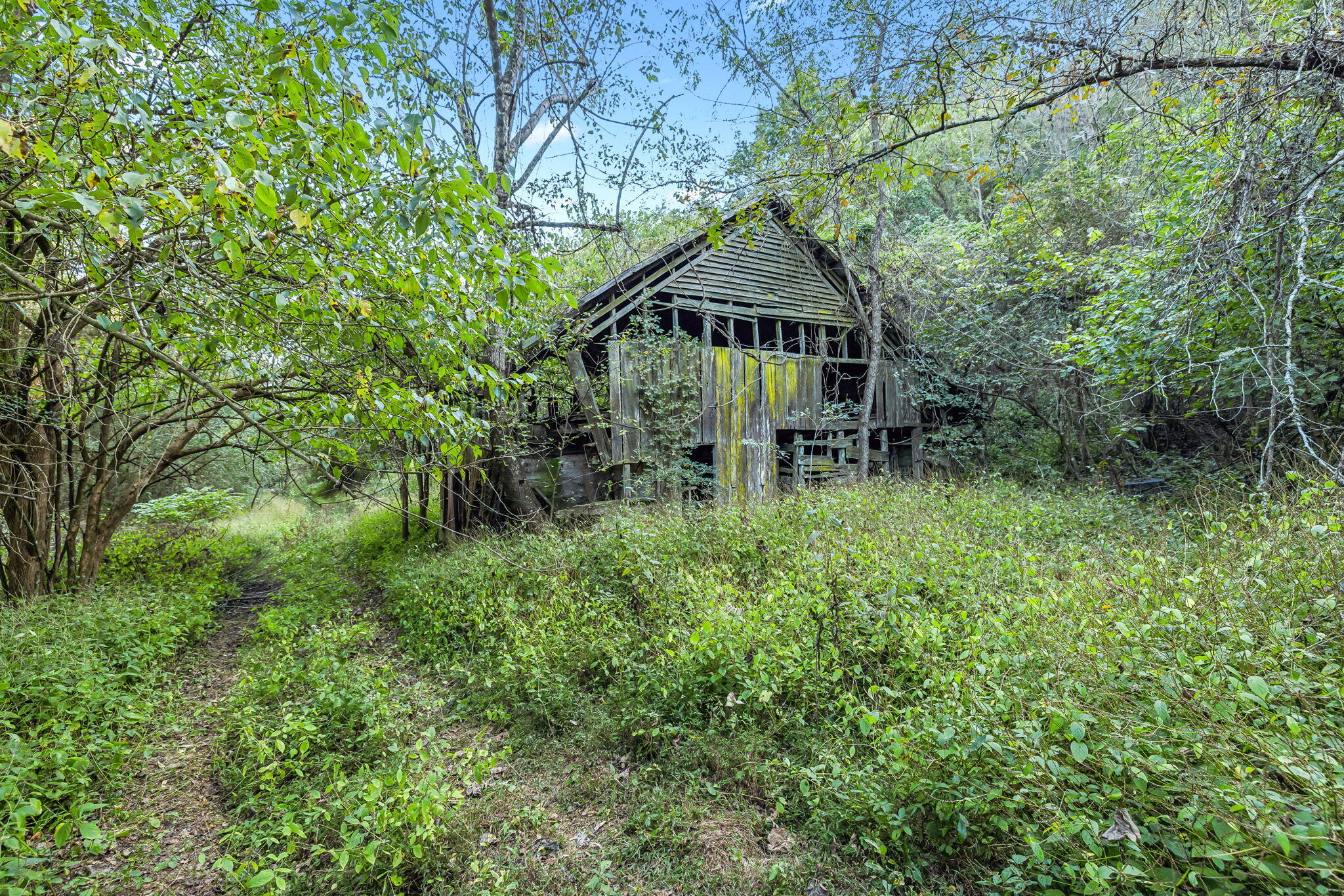 0 Tate Road Fayetteville, TN 37334 - Photo 8 of 39 29-web-or-mls-Tate Rd V2 - 1